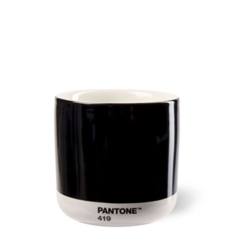 Latte Macchiatobeker Dubbelwandig 220 ml - Black 419