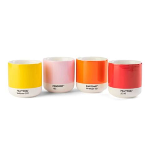 Cortadobeker Dubbelwandig 170 ml in Giftbox Set van 4 Stuks - Yellow/Red/Orange/Light Pink