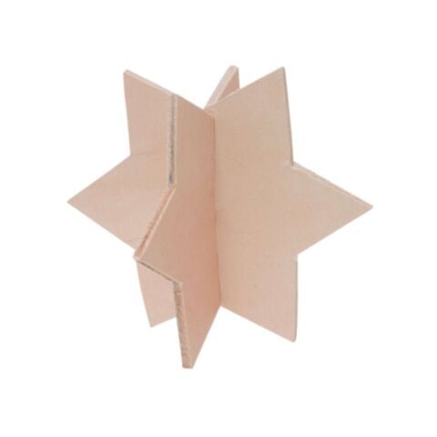 Leer Ster 3D L